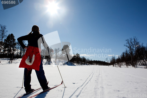 Image of Cross Country Skiing