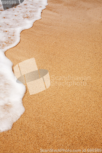 Image of Beach Background