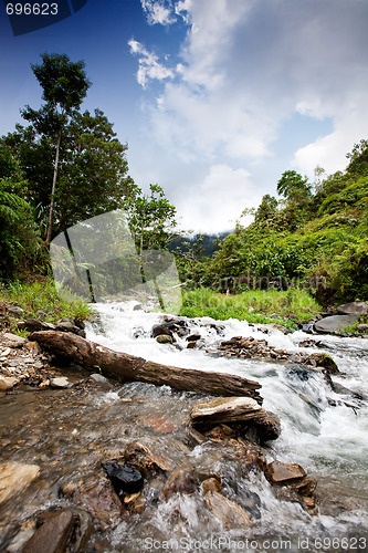 Image of Mountain Stream