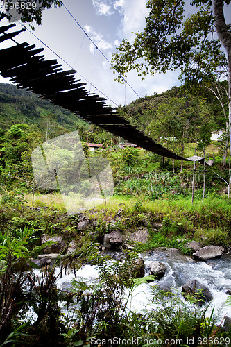 Image of Hanging Bridge