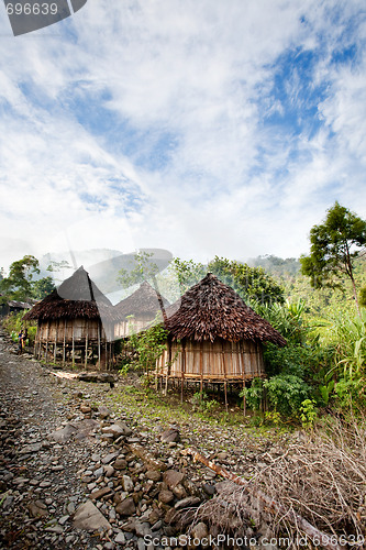 Image of Traditional Village