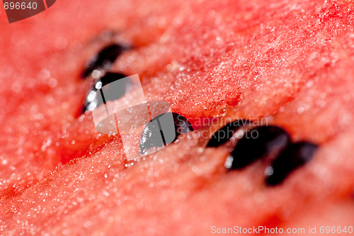 Image of Watermelon Background