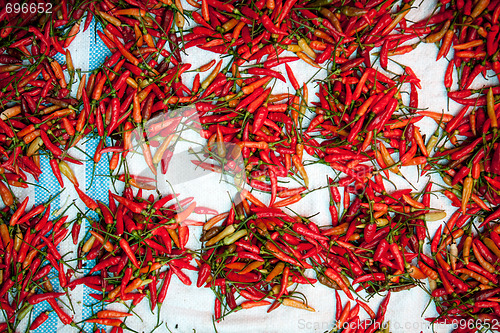 Image of Peppers at Market