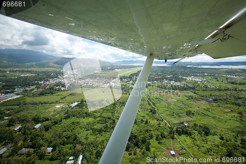 Image of Tropical Flight