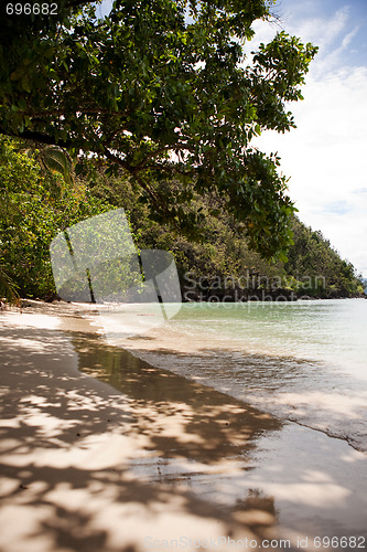 Image of Tropical Beach