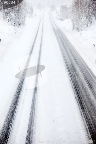 Image of Billzard on Road