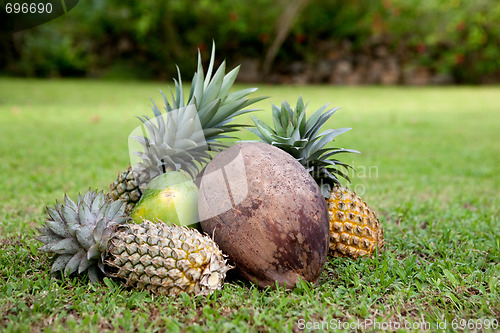 Image of Tropical Fruit