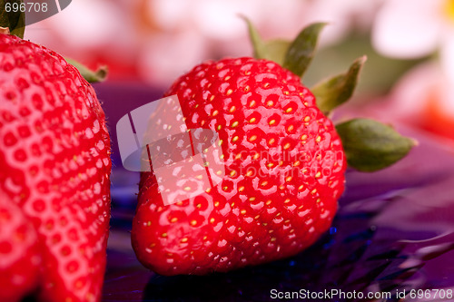 Image of Strawberry Outdoor