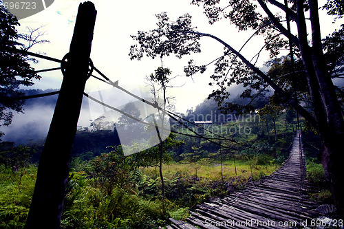 Image of Hanging Bridge Fear