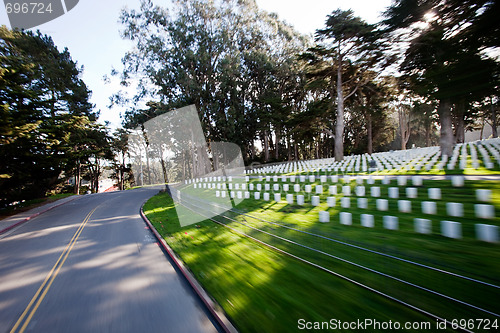 Image of Driving by Graveyard