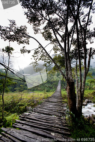 Image of Hanging Bridge Suspension