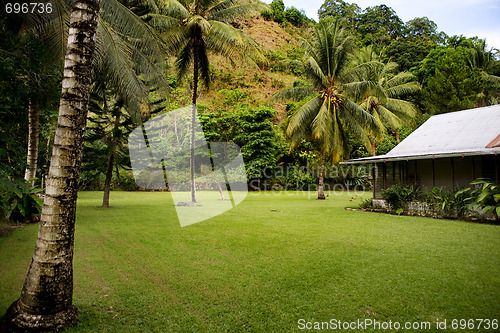 Image of Tropical Back Yard