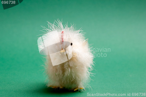 Image of Baby Chicken