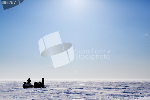 Image of Barren Snow Landscape