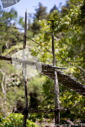 Image of Hanging Bridge Suspension