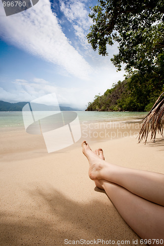 Image of Relaxing in the Tropics