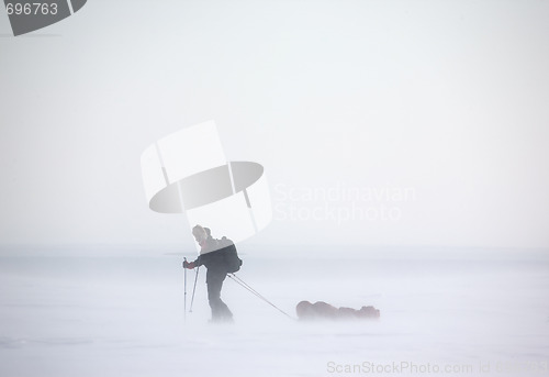 Image of Arctic Expedition