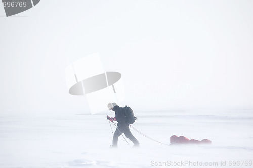 Image of Winter Expedition