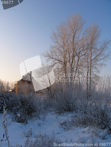 Image of Rural Winter Scene