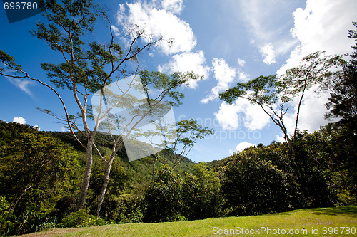 Image of Mountain Landscape