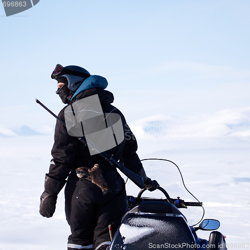 Image of Arctic Guide