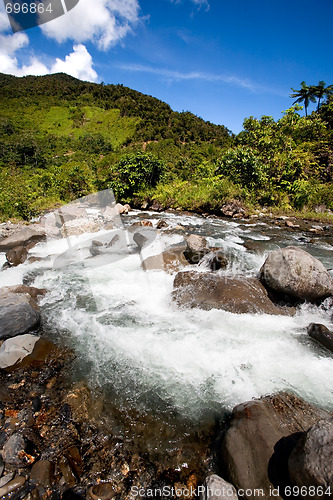 Image of Fresh Mountain River