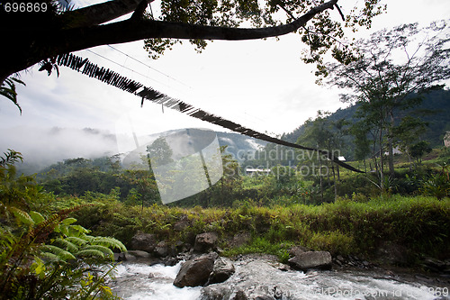 Image of Hanging Bridge Suspension