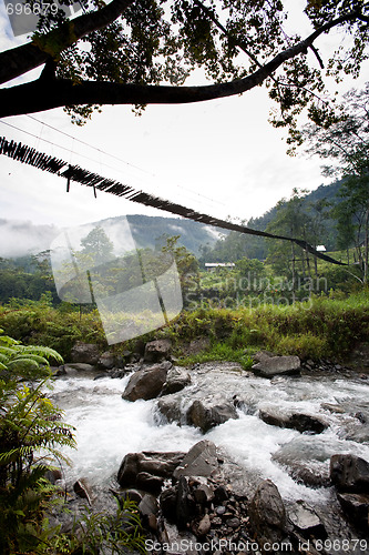 Image of Hanging Bridge Suspension