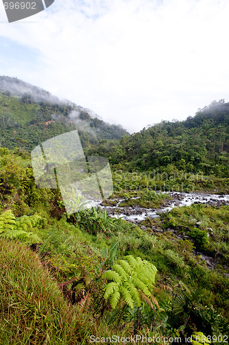 Image of Mountain Stream with Fog