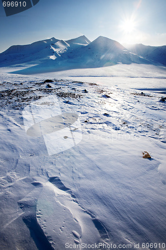 Image of Svalbard Landscape