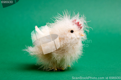 Image of Baby Chicken