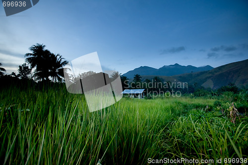 Image of Tropical Mountain Hut