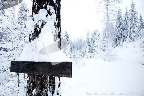 Image of Winter Landscape - Blank Sign