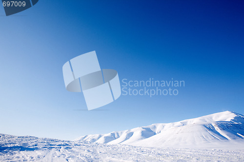 Image of Winter Landscape