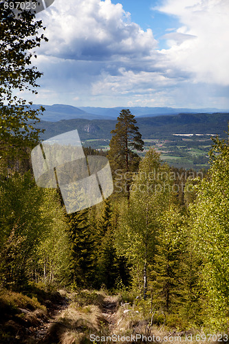 Image of Mountain Forest Landscape