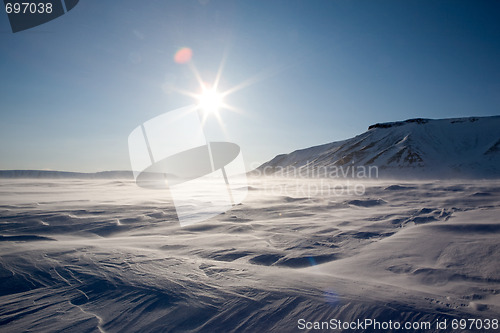 Image of Frozen Arctic Landscape