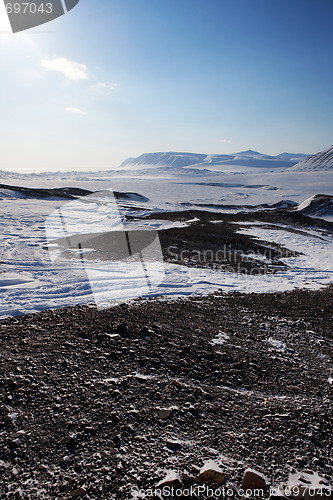 Image of Barren Winter Landscape