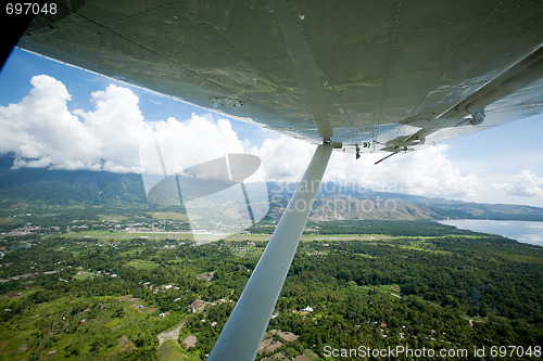 Image of Tropical Flight