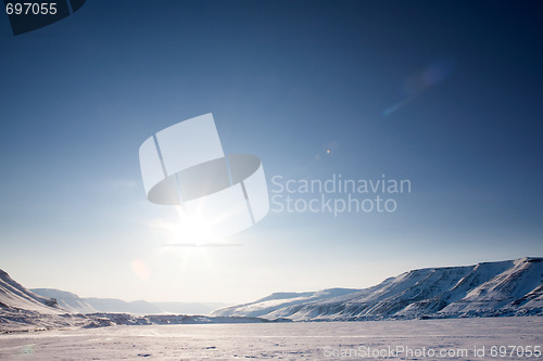 Image of Barren Winter Landscape