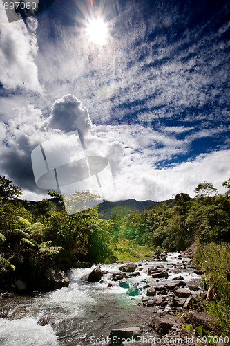 Image of Fresh Mountain River