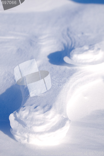 Image of Polar Bear Track