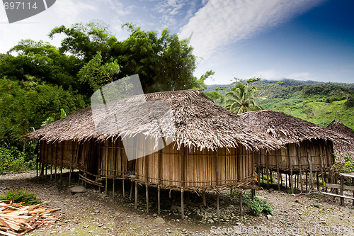 Image of Village Hut