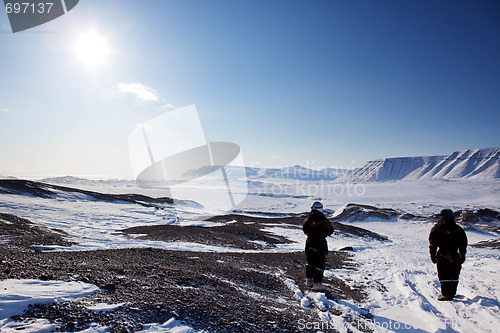Image of Barren Winter Landscape