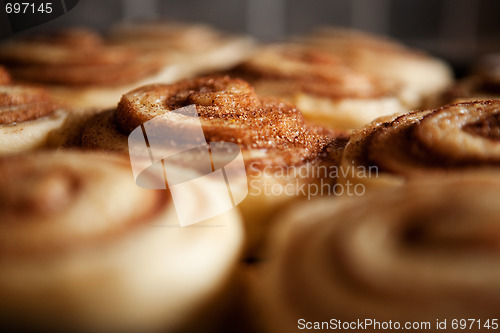 Image of Raw Cinnamon Buns