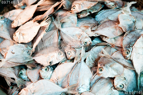 Image of Dried Fish Background