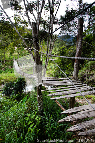 Image of Hanging Bridge