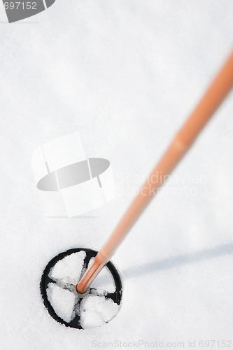 Image of Ski Pole