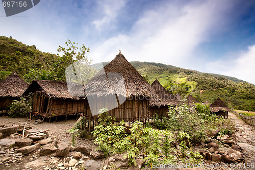 Image of Traditional Village