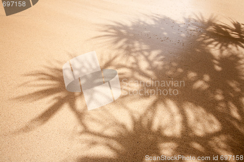 Image of Wet Sand Background