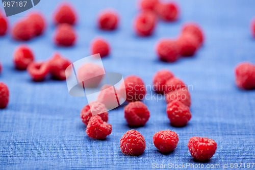Image of Fresh Raspberries